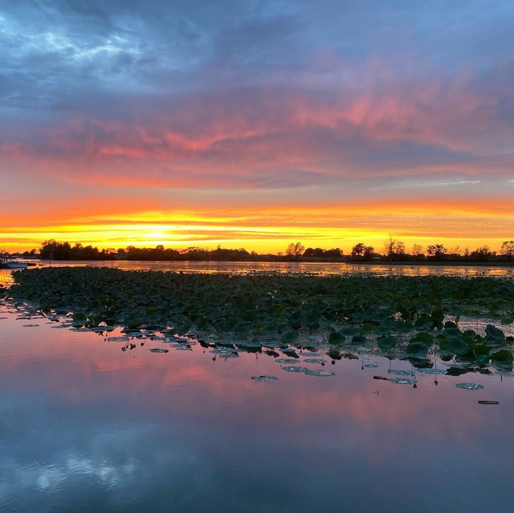 Berlin Charter Township