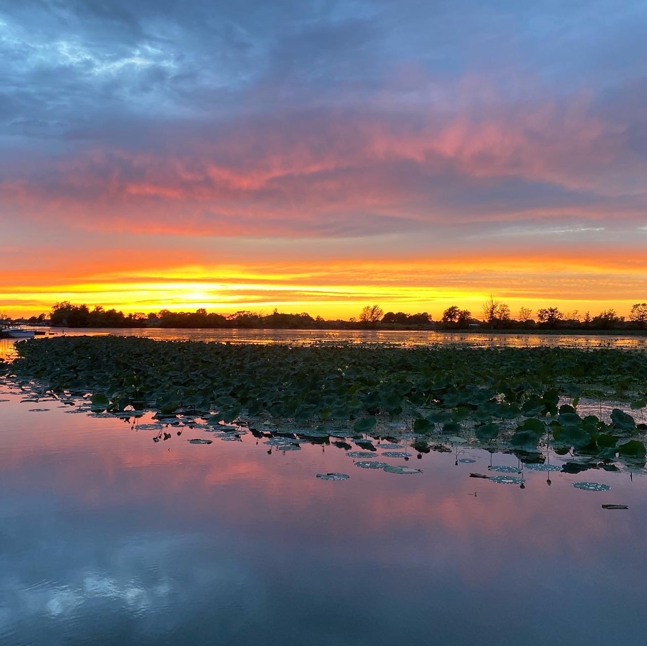 Morning Sunrise over pond